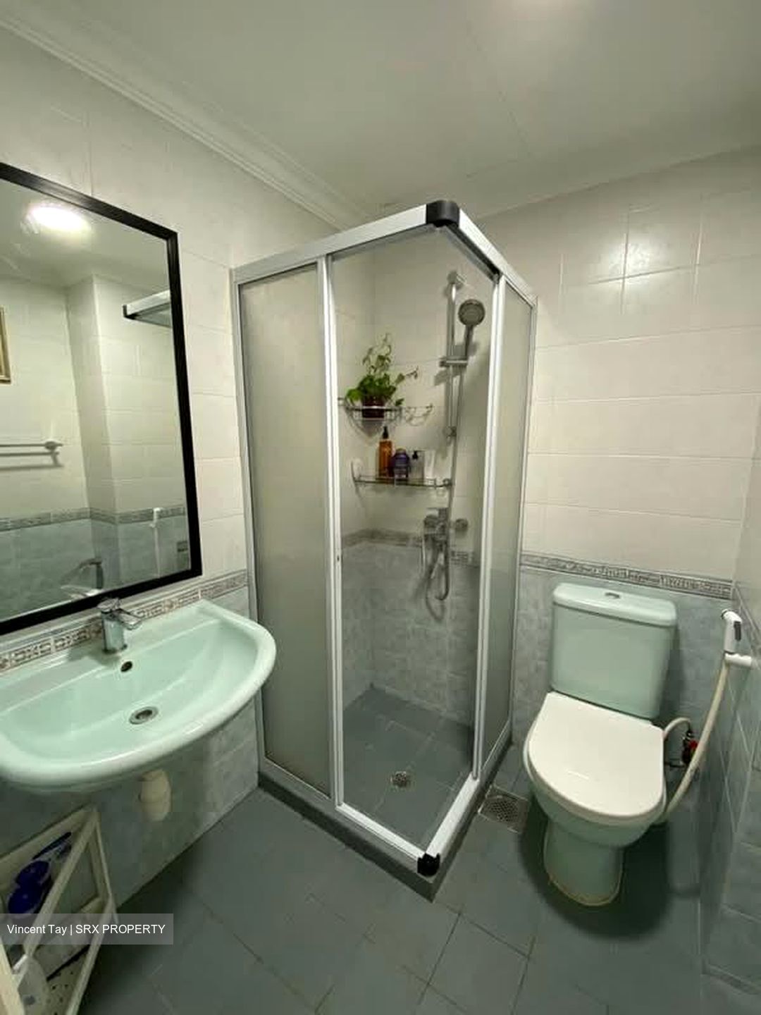 Birmingham Mansions (D11), Apartment #602753881